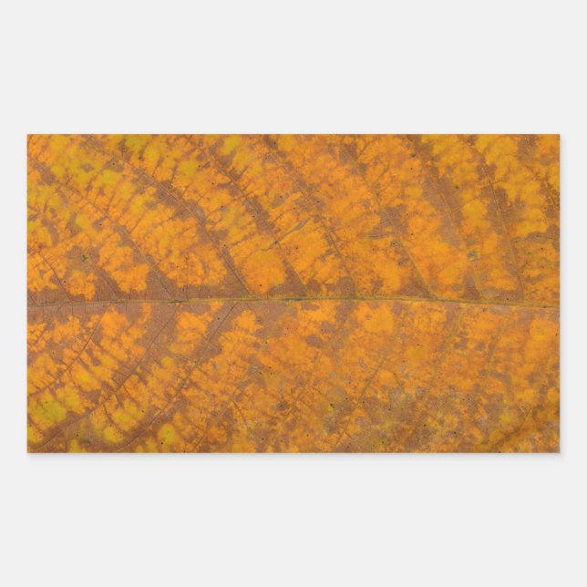 autumn tree leaf texture pattern background nature rectangular sticker (Front)