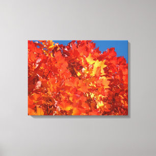 Autumn Tree leaves art prints Canvas Nature art