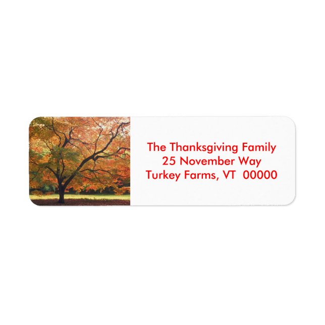 Autumn Tree Photo Return Address Labels Sticker (Front)