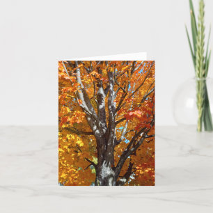 Autumn Tree Shadows Note Card