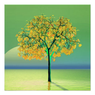 Autumn Tree Sunset Poster