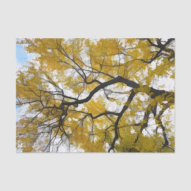Autumn Tree Yellow Leaves Blue Sky Tissue Paper (Front)