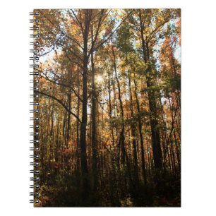 Autumn Trees #3855 Notebook