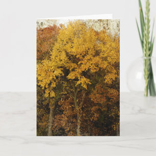 Autumn Trees all occasions Card