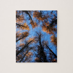 Autumn trees at sunset jigsaw puzzle