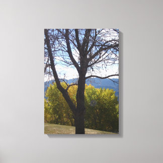 Autumn Trees canvas art