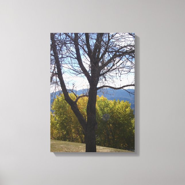 Autumn Trees canvas art (Front)