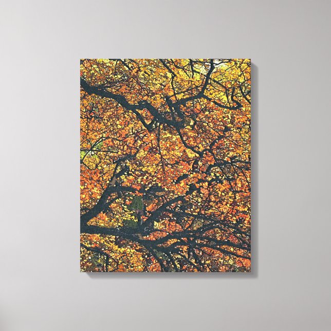 AUTUMN TREES CANVAS PRINT (Front)