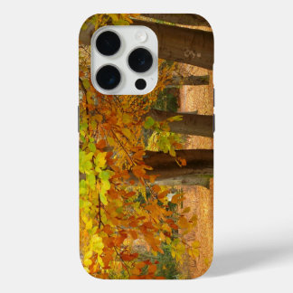 Autumn Trees iPhone 15 Pro Case
