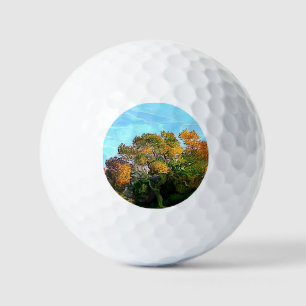 AUTUMN TREES GOLF BALLS