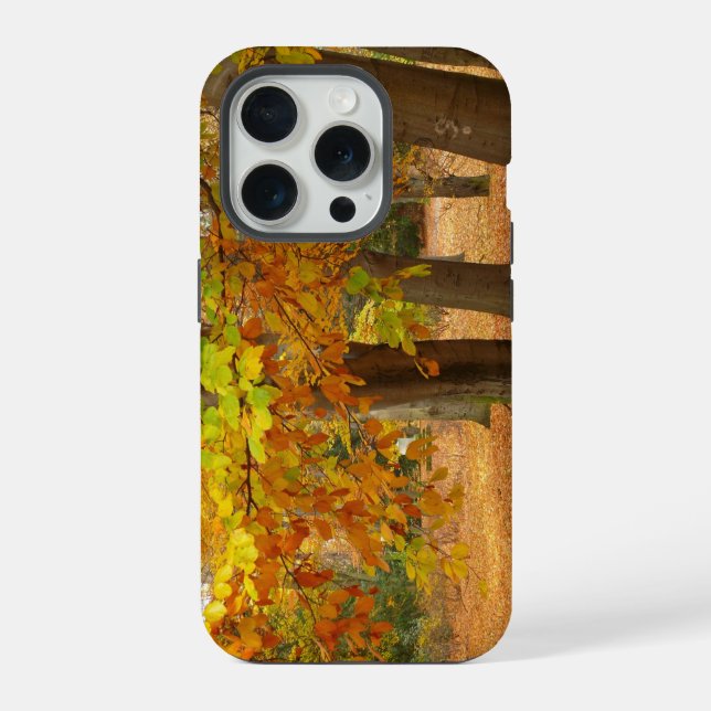 Autumn Trees iPhone Case (Back)