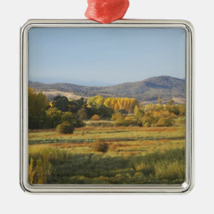 Autumn Trees, Khancoban, Snowy Mountains, New Metal Tree Decoration