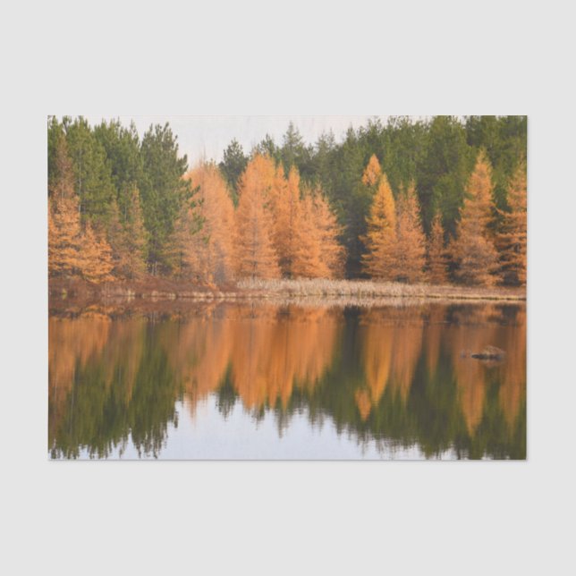 Autumn Trees Lake Colourful Orange Fall Themed Tissue Paper (Front)