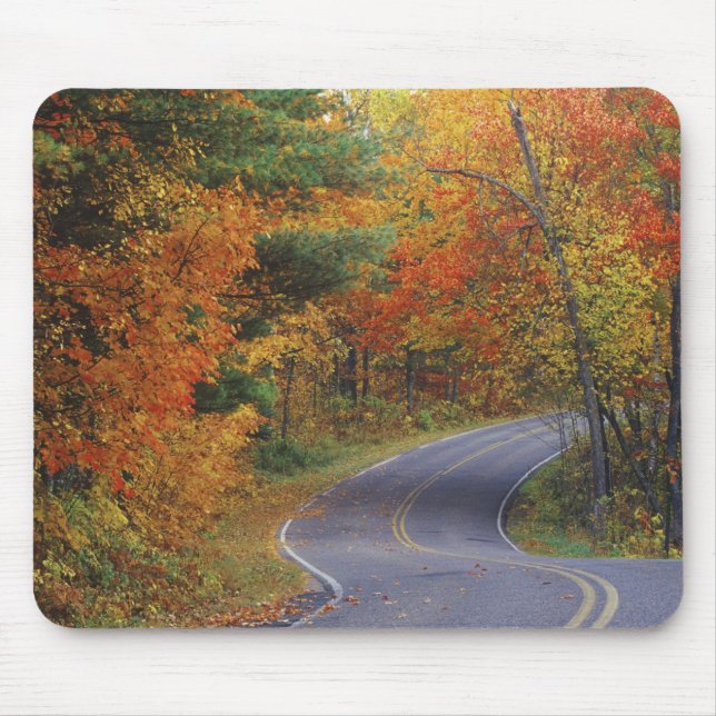 Autumn trees line roadway in Itasca State Park Mouse Pad (Front)