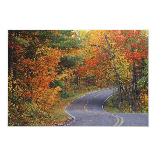 Autumn trees line roadway in Itasca State Park Photo Print (Front)