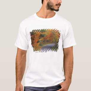 Autumn trees line roadway in Itasca State Park T-Shirt