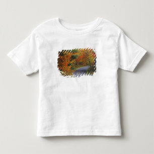Autumn trees line roadway in Itasca State Park Toddler T-Shirt