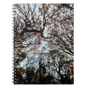 Autumn trees notebook
