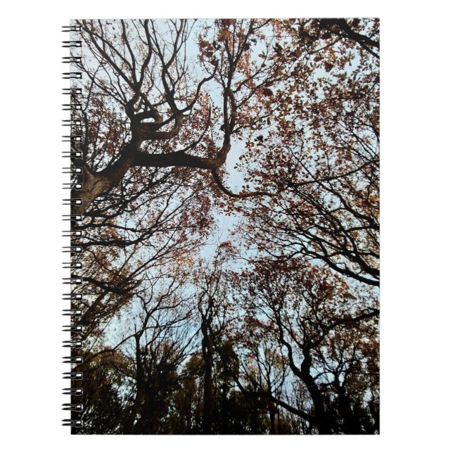 Autumn trees notebook (Front)