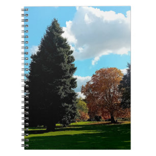 Autumn trees notebook