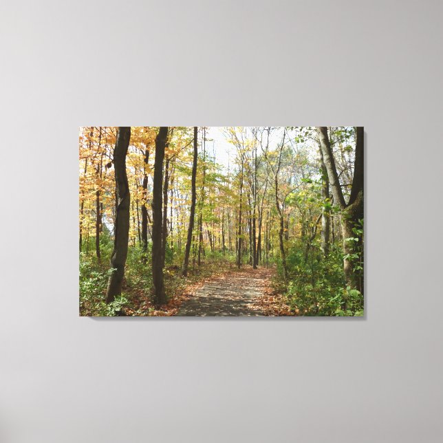 Autumn Trees on Walking Path Large Canvas Print (Front)