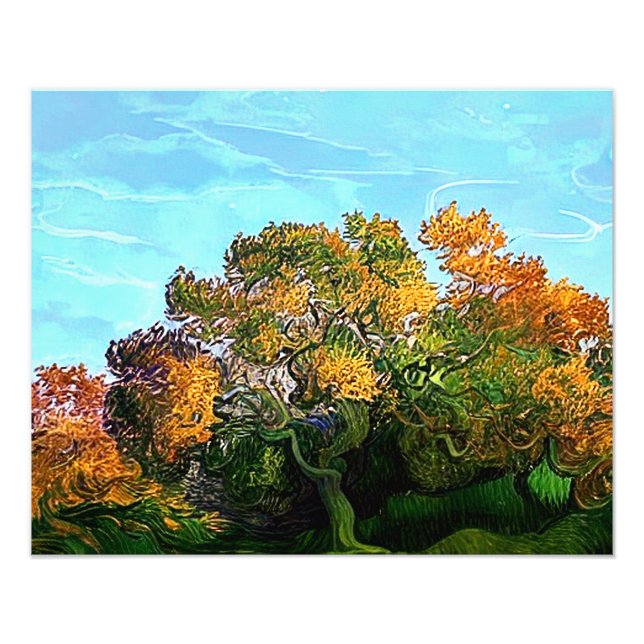 AUTUMN TREES PHOTO PRINT (Front)