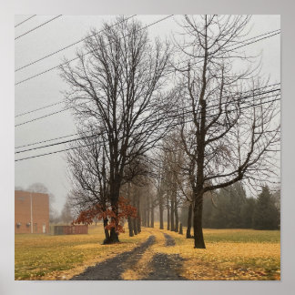 Autumn Trees Poster