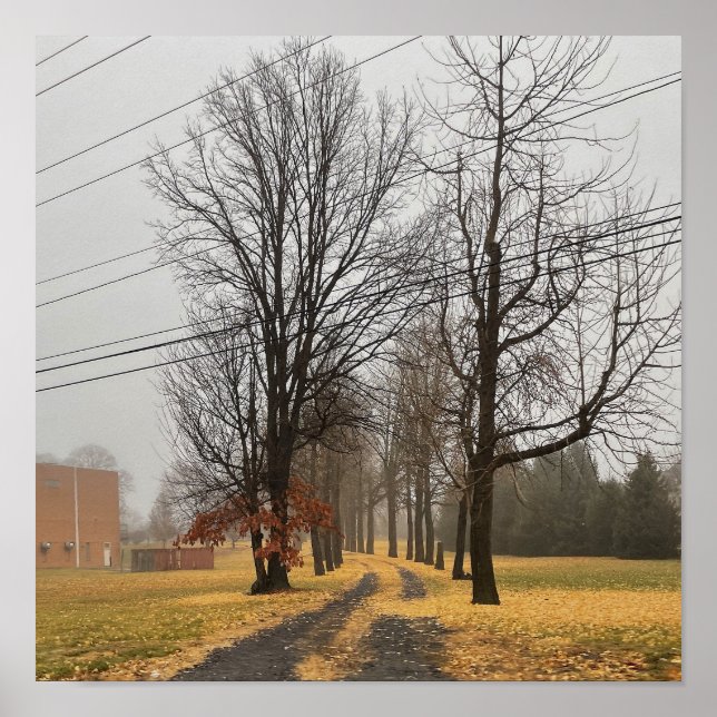 Autumn Trees Poster (Front)