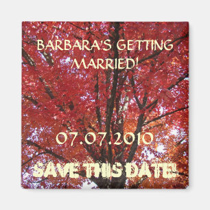 Autumn Trees Save the Date Magnet Fall Wedding
