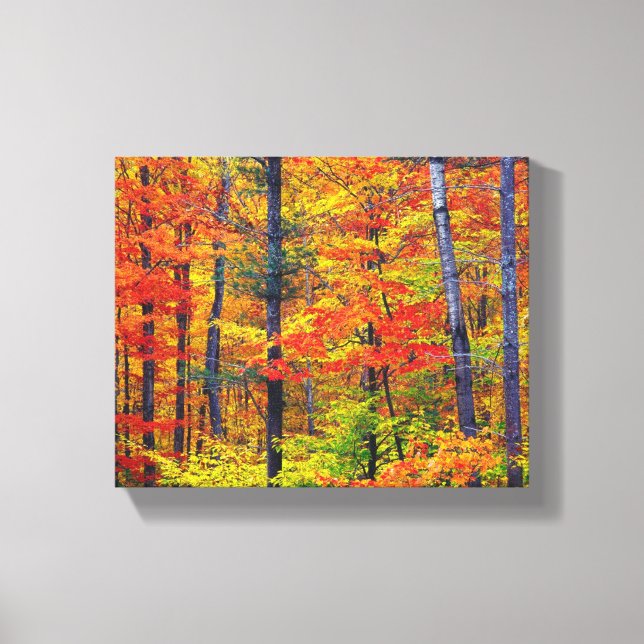 Autumn Trees Wrapped Canvas (Front)