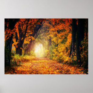 Autumn Tunnel Poster