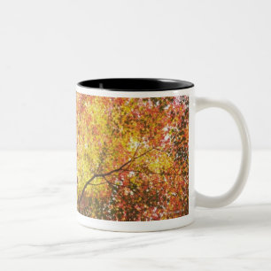 Autumn Two-Tone Coffee Mug