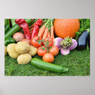 Autumn vegetables poster