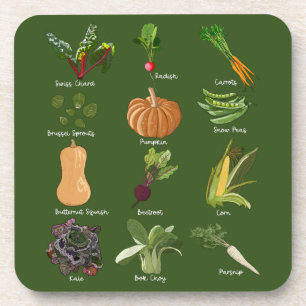 Autumn Veggies Fall Vegetable Harvest Coaster