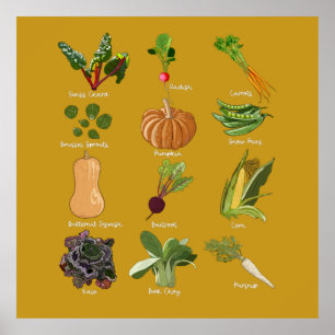 Autumn Veggies Fall Vegetable Harvest Poster