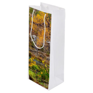 Autumn View Alley Spring Wine Gift Bag