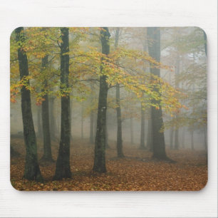 Autumn view of foggy forest, Grandfather 3 Mouse Pad