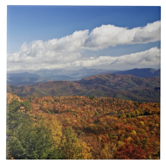 Autumn view of Southern Appalachian Mountains Tile (Front)