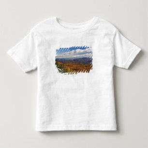 Autumn view of Southern Appalachian Mountains Toddler T-Shirt