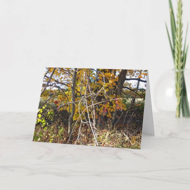 Autumn Vine Tangle & Berries "Ahh" Card (Front)