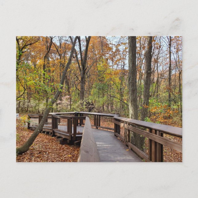 Autumn walk postcard (Front)