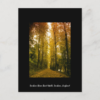 Autumn Walk Postcard