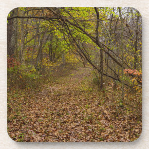 Autumn Walkway Coaster