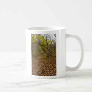 Autumn Walkway Coffee Mug
