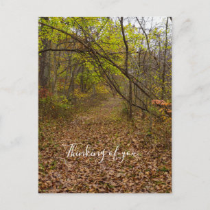 Autumn Walkway Thinking Of You Postcard