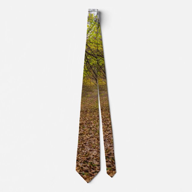 Autumn Walkway Tie (Front)