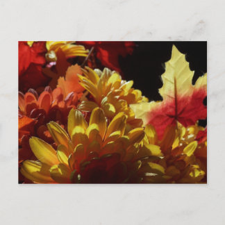 Autumn Warmth Postcard