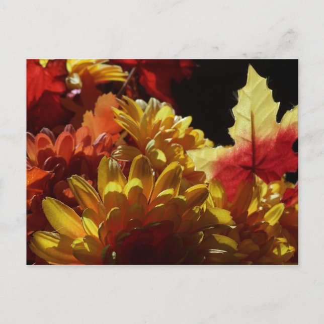 Autumn Warmth Postcard (Front)
