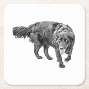 Autumn Watch Beneath the Leaves Square Paper Coaster