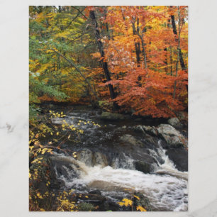 Autumn Waterfall Flyer